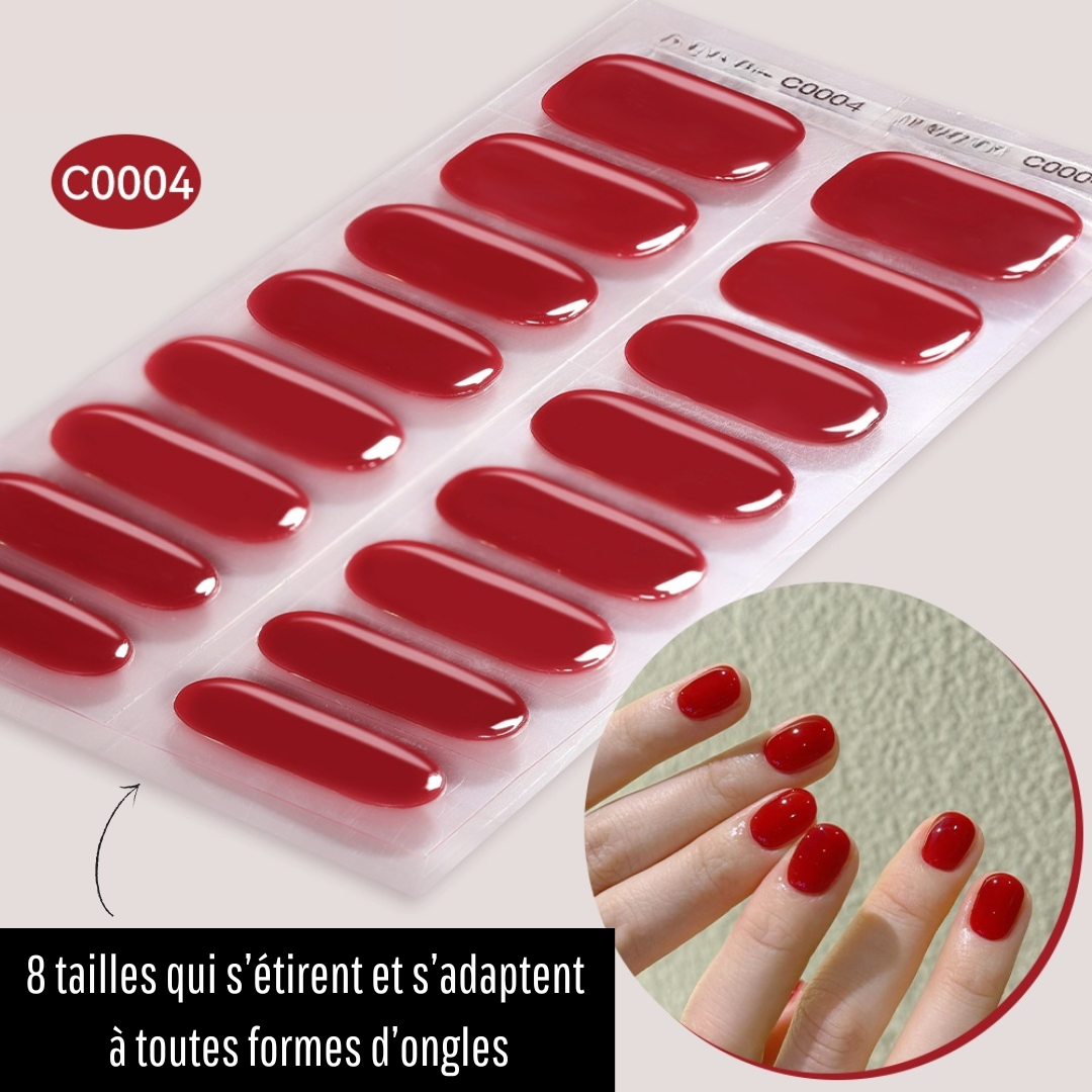 Pack découverte